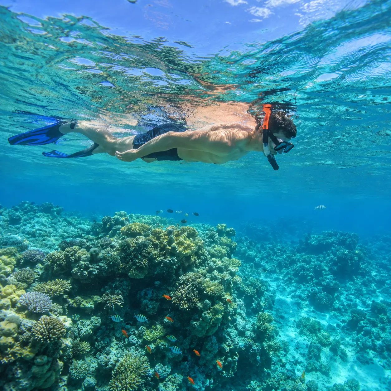 Snorkeling Hurghada