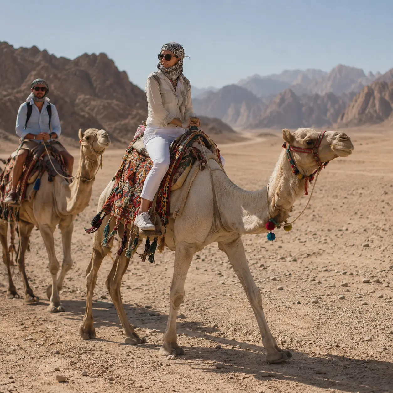 Camel Ride Hurghada — Hurghada (photo 1 of 1)