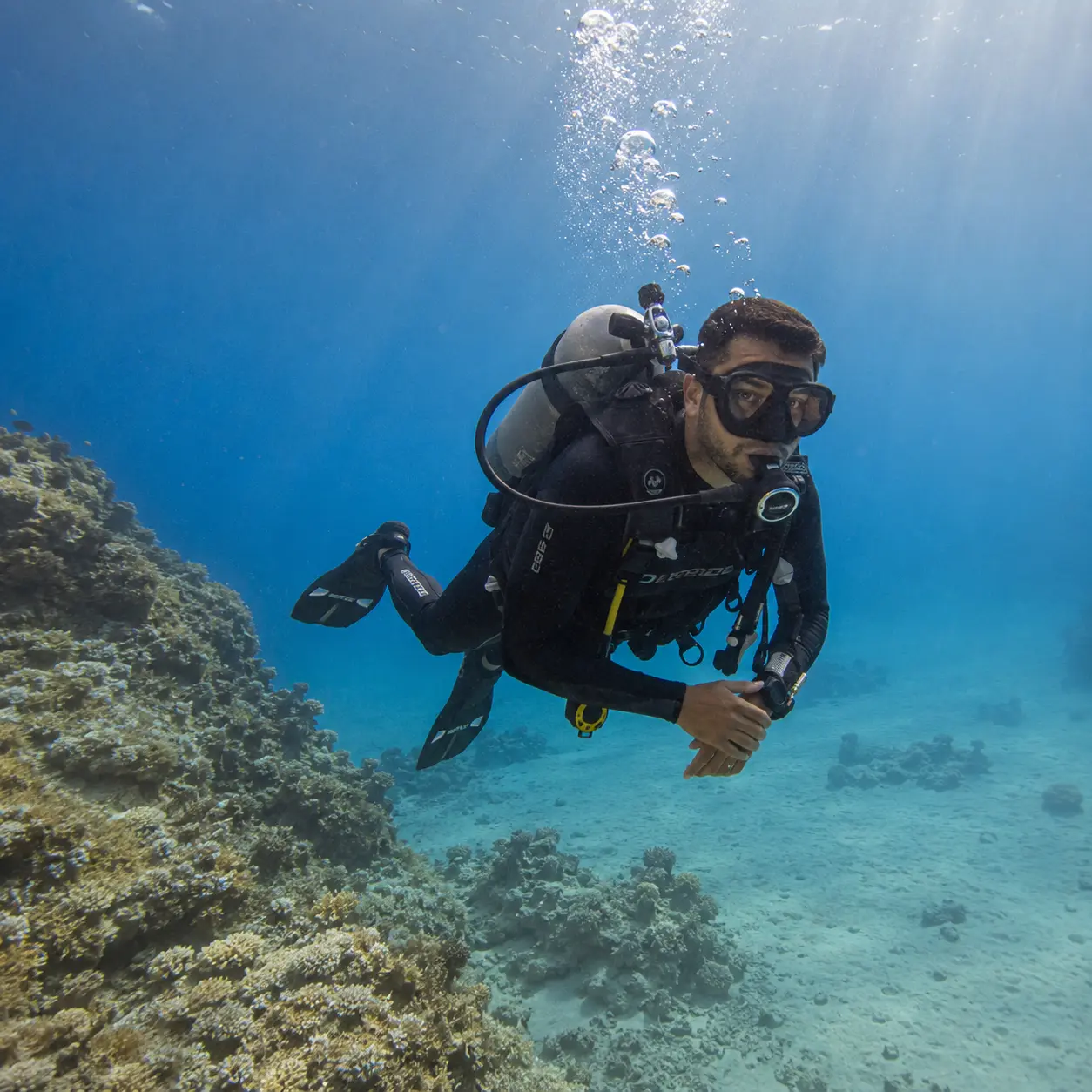 Diving in Dahab — Dahab, Egypt