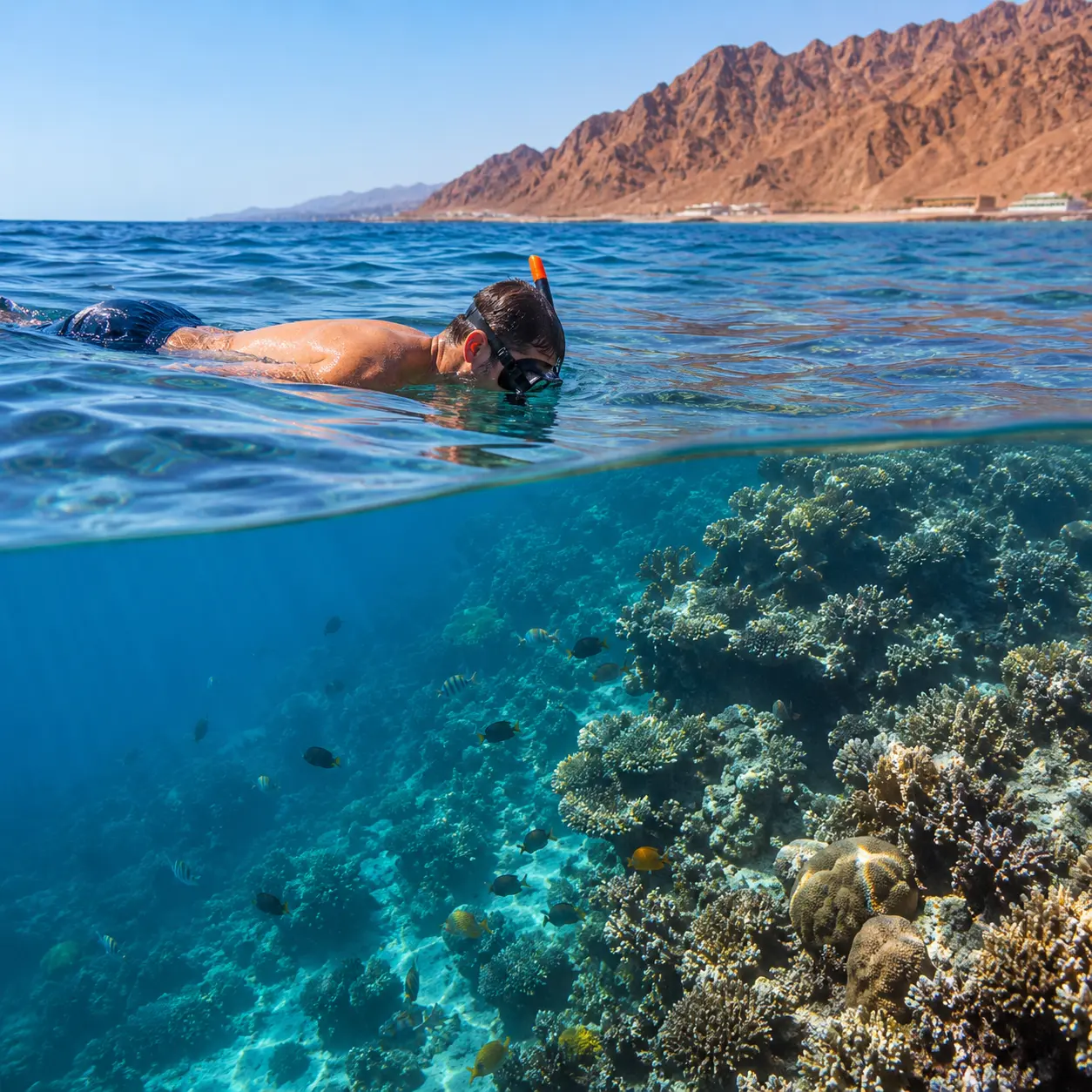 Snorkeling Dahab — Dahab (photo 1 of 1)